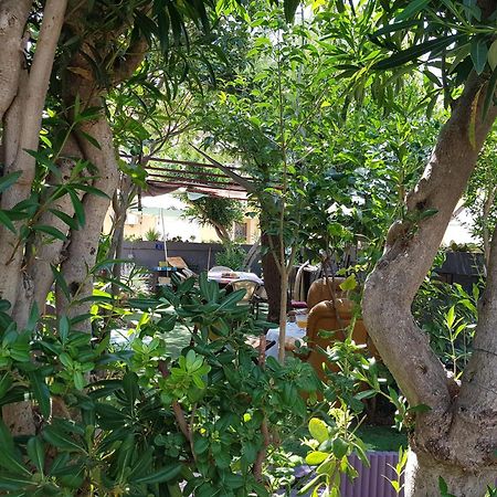 Chambres Privees Maison Jardin Toutes Commodites Partagees Valras-Plage Buitenkant foto